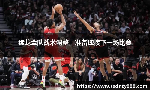 BoB半岛·体育中国官方网站