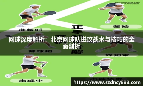 半岛bob·官方网站