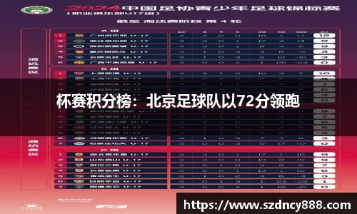 BoB半岛·体育中国官方网站