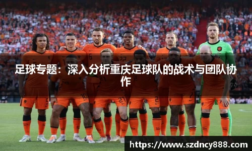 BoB半岛·体育中国官方网站