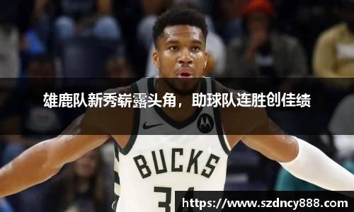 半岛bob·官方网站