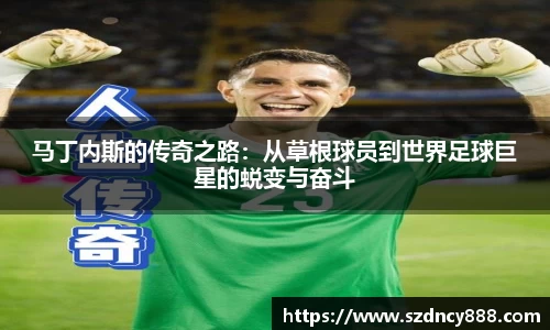 半岛bob·官方网站