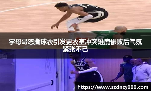 半岛bob·官方网站