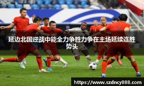 BoB半岛·体育中国官方网站