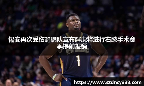 半岛·BOB官方网站